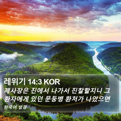 레위기 14:3 KOR Bible Verse Image