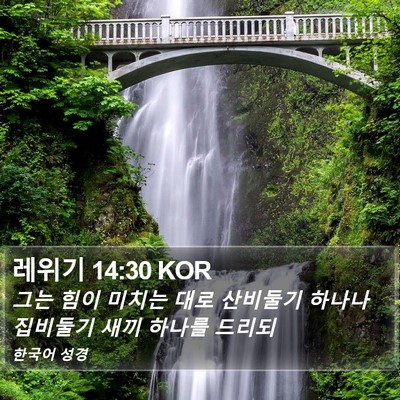 레위기 14:30 KOR Bible Verse Image