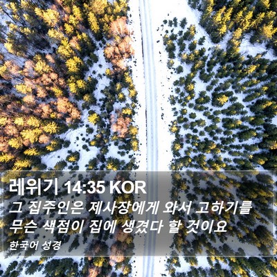 레위기 14:35 KOR Bible Verse Image