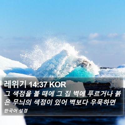 레위기 14:37 KOR Bible Verse Image