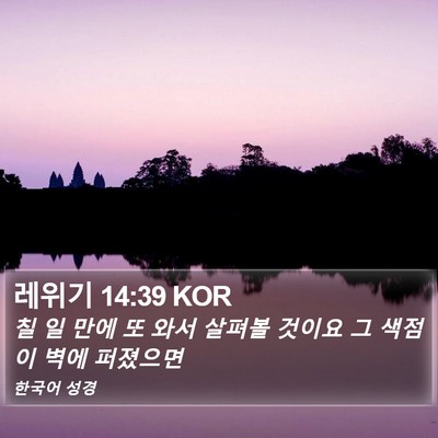 레위기 14:39 KOR Bible Verse Image