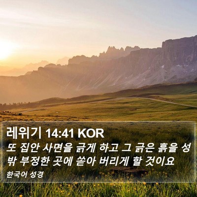 레위기 14:41 KOR Bible Verse Image