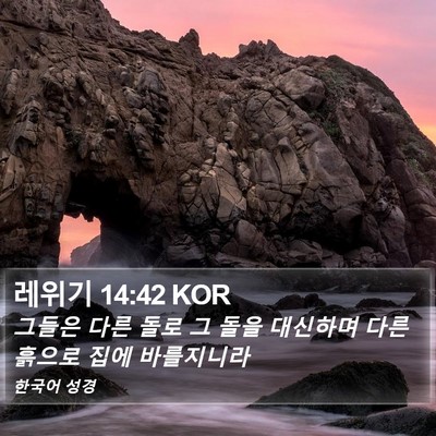 레위기 14:42 KOR Bible Verse Image