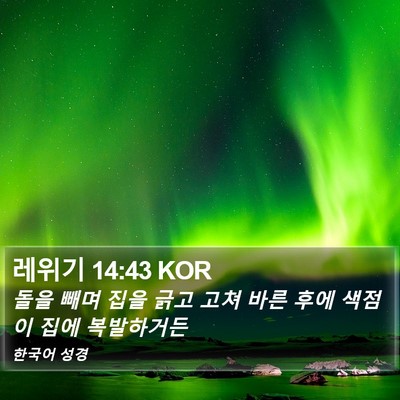 레위기 14:43 KOR Bible Verse Image
