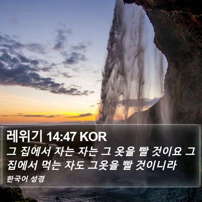 레위기 14:47 KOR Bible Verse Image