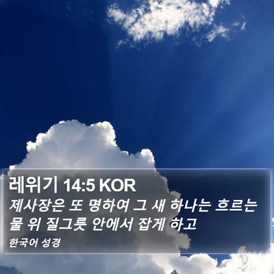 레위기 14:5 KOR Bible Verse Image