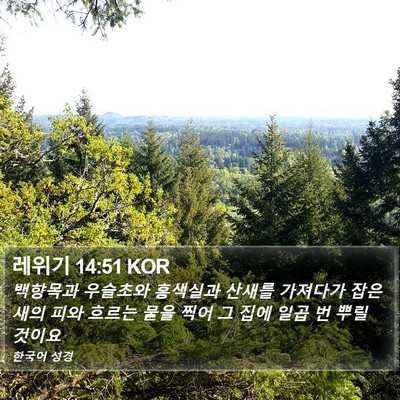 레위기 14:51 KOR Bible Verse Image