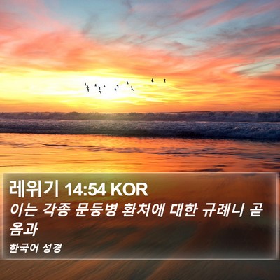 레위기 14:54 KOR Bible Verse Image