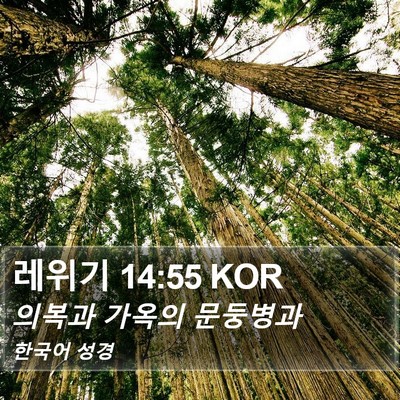 레위기 14:55 KOR Bible Verse Image