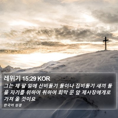 레위기 15:29 KOR Bible Verse Image