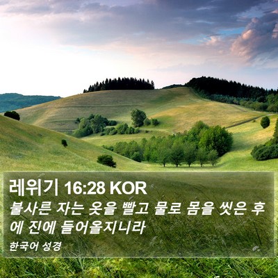 레위기 16:28 KOR Bible Verse Image