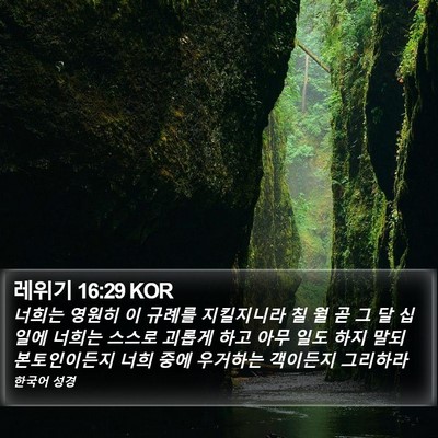 레위기 16:29 KOR Bible Verse Image