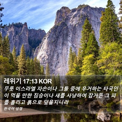 레위기 17:13 KOR Bible Verse Image
