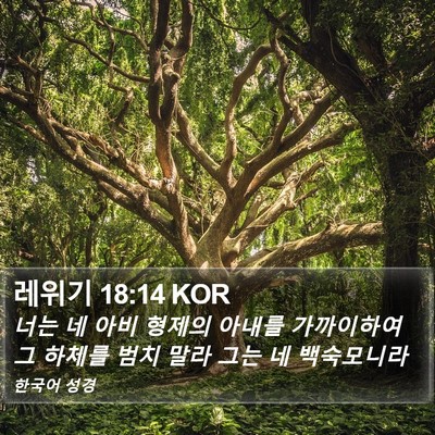 레위기 18:14 KOR Bible Verse Image