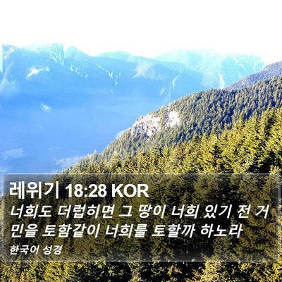 레위기 18:28 KOR Bible Verse Image
