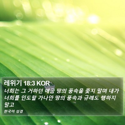 레위기 18:3 KOR Bible Verse Image