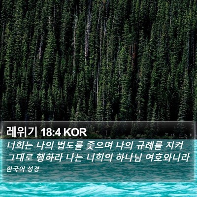 레위기 18:4 KOR Bible Verse Image