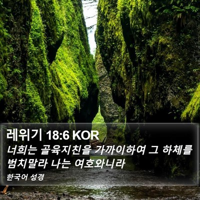 레위기 18:6 KOR Bible Verse Image