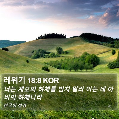 레위기 18:8 KOR Bible Verse Image