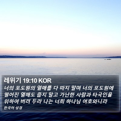 레위기 19:10 KOR Bible Verse Image