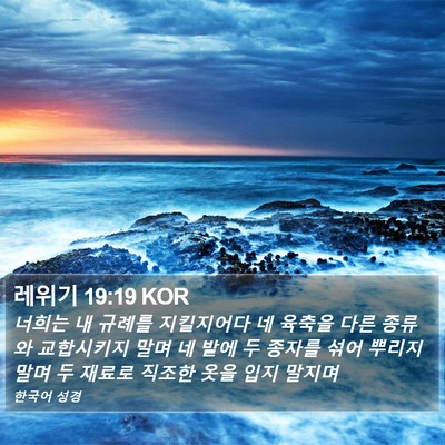 레위기 19:19 KOR Bible Verse Image