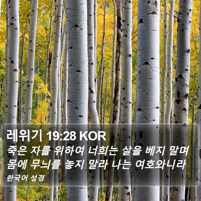 레위기 19:28 KOR Bible Verse Image