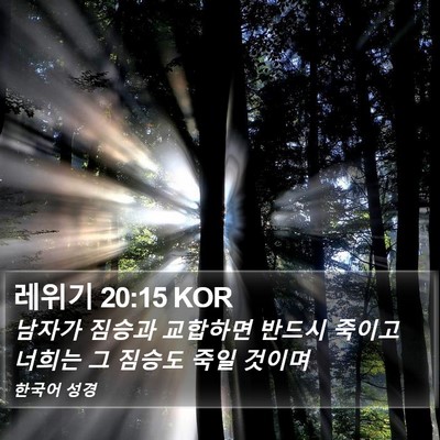 레위기 20:15 KOR Bible Verse Image