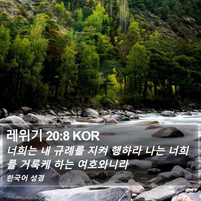 레위기 20:8 KOR Bible Verse Image