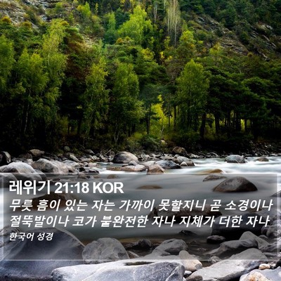 레위기 21:18 KOR Bible Verse Image
