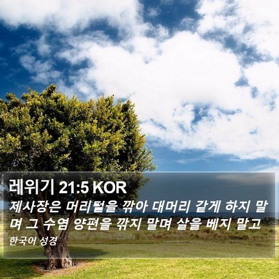 레위기 21:5 KOR Bible Verse Image
