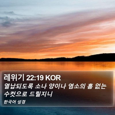 레위기 22:19 KOR Bible Verse Image