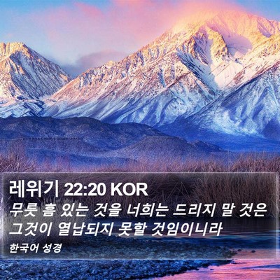 레위기 22:20 KOR Bible Verse Image