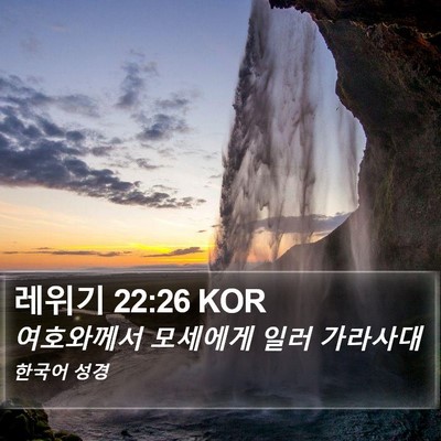레위기 22:26 KOR Bible Verse Image