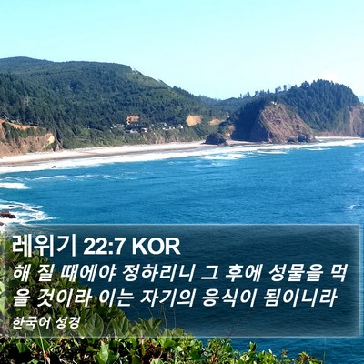 레위기 22:7 KOR Bible Verse Image