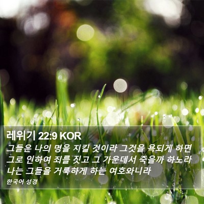 레위기 22:9 KOR Bible Verse Image