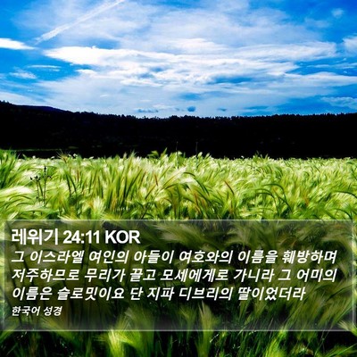레위기 24:11 KOR Bible Verse Image