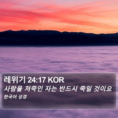 레위기 24:17 KOR Bible Verse Image