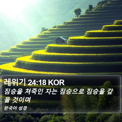 레위기 24:18 KOR Bible Verse Image