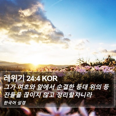 레위기 24:4 KOR Bible Verse Image
