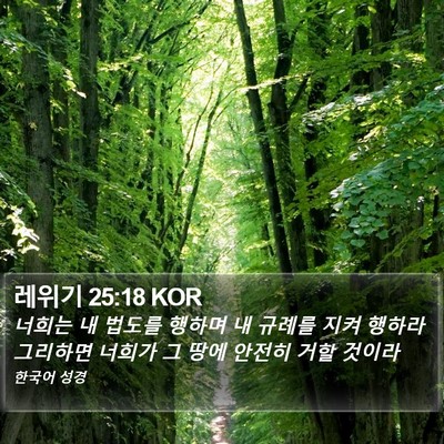 레위기 25:18 KOR Bible Verse Image