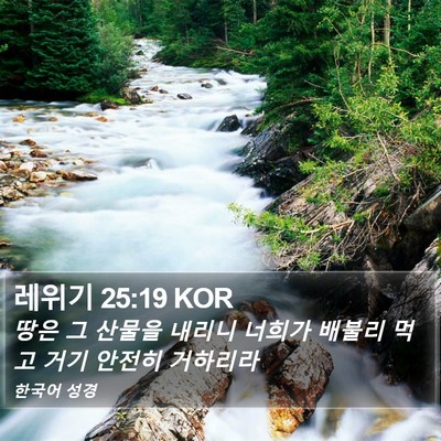 레위기 25:19 KOR Bible Verse Image