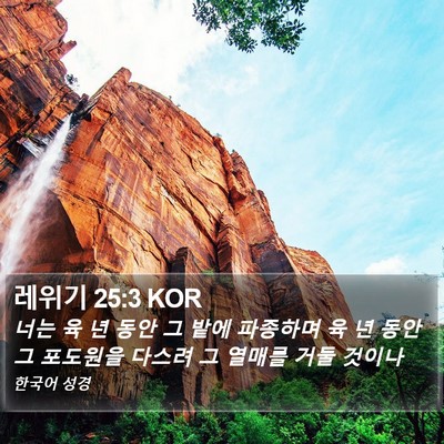 레위기 25:3 KOR Bible Verse Image