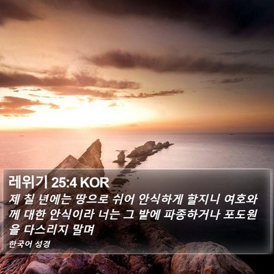 레위기 25:4 KOR Bible Verse Image