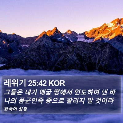 레위기 25:42 KOR Bible Verse Image