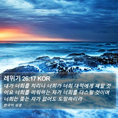 레위기 26:17 KOR Bible Verse Image