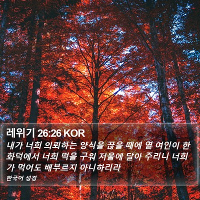 레위기 26:26 KOR Bible Verse Image