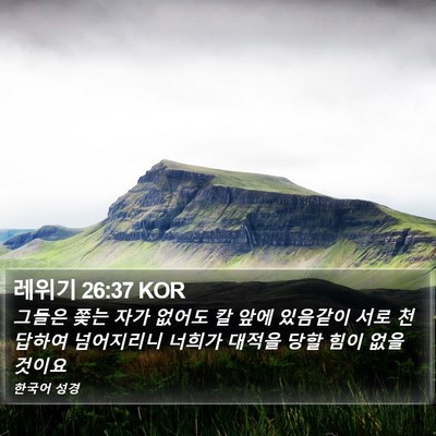 레위기 26:37 KOR Bible Verse Image