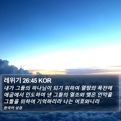 레위기 26:45 KOR Bible Verse Image