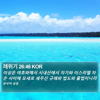 레위기 26:46 KOR Bible Verse Image