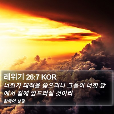 레위기 26:7 KOR Bible Verse Image